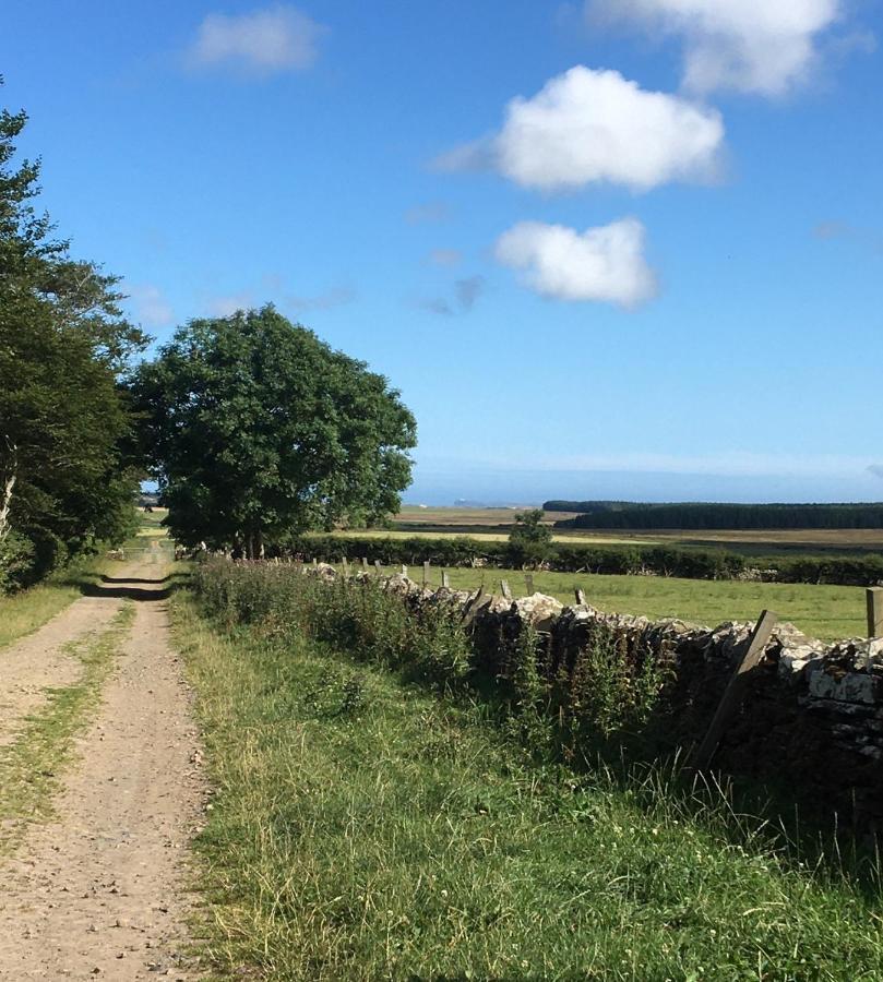 Caithness View Luxury Farm Lodges And Bbq Huts Wick  Luaran gambar