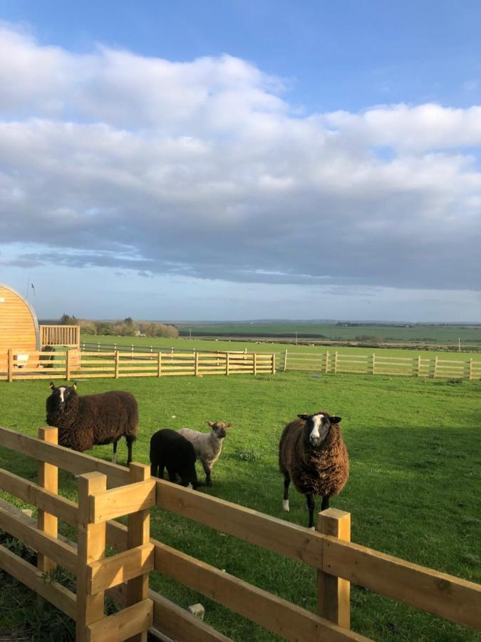 Caithness View Luxury Farm Lodges And Bbq Huts Wick  Luaran gambar