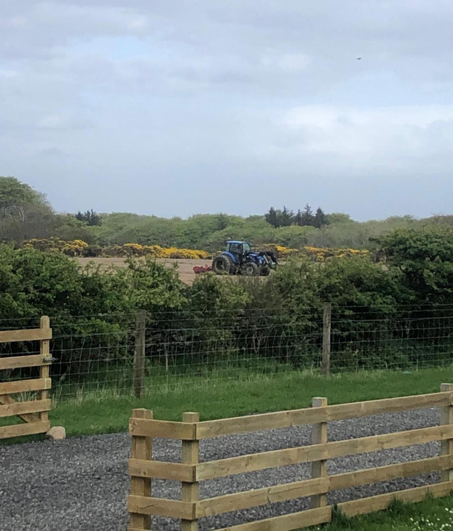 Caithness View Luxury Farm Lodges And Bbq Huts Wick  Luaran gambar